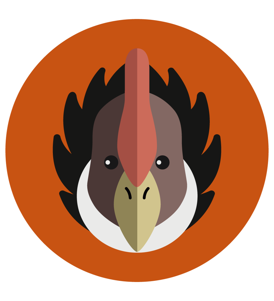 Avatar Condor