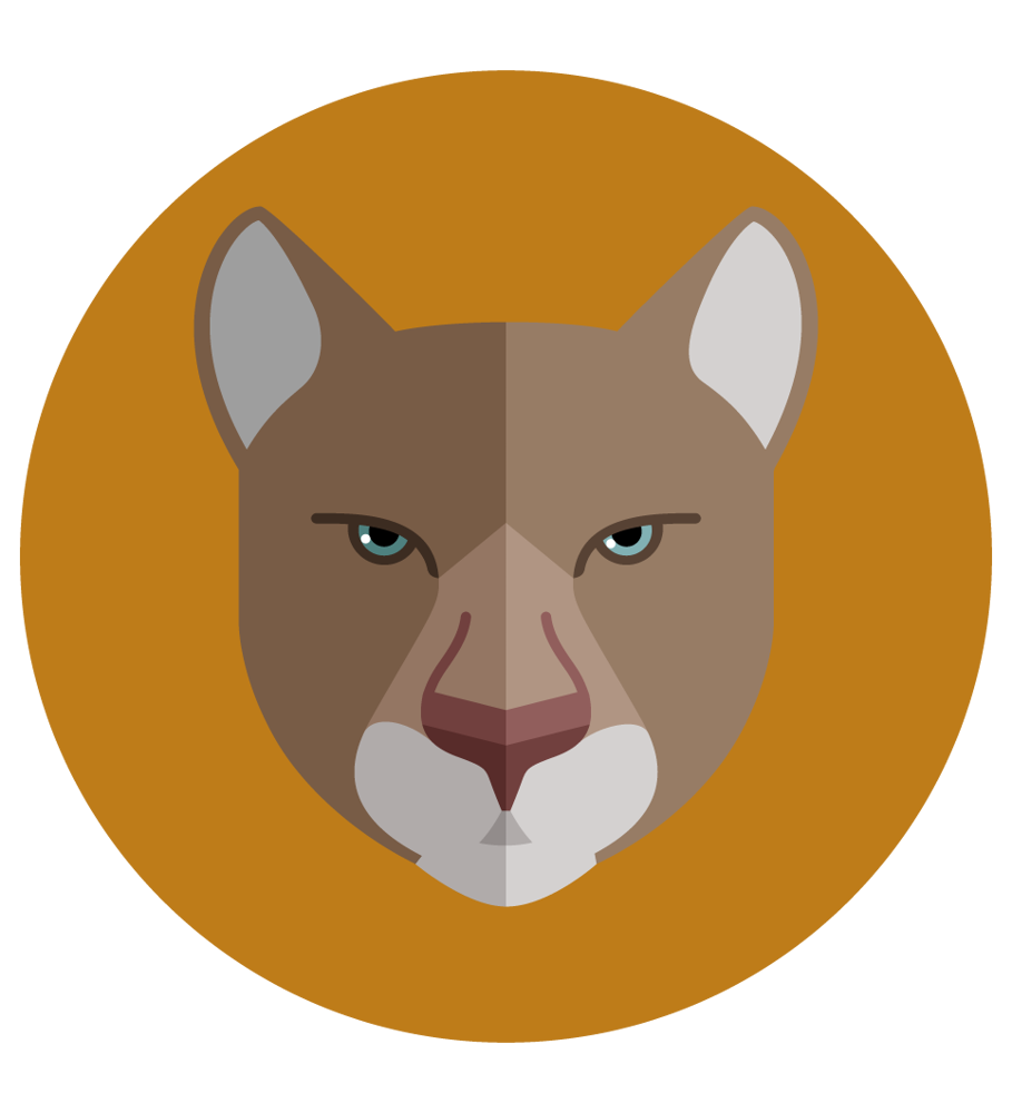 Avatar Puma